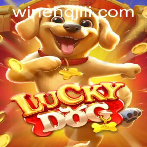 Discovering 'LuckyDog': A Unique Card Game Experience